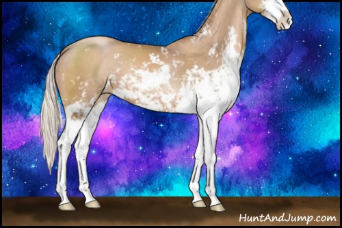 Horse Color:Silver Black Pearl Sabino 