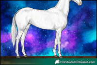 Horse Color:Silver Black Pearl Sabino 