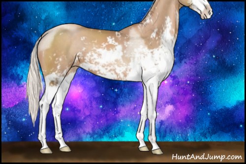 Horse Color:Silver Black Pearl Sabino 