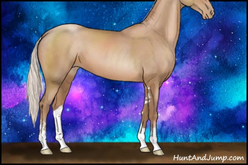 Horse Color:Silver Black Pearl Sabino 