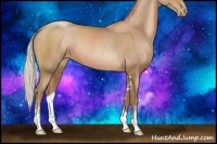 Horse Color:Silver Black Pearl Sabino 