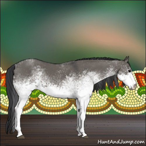 Horse Color:White Spotted Grullo Tobiano Rabicano 