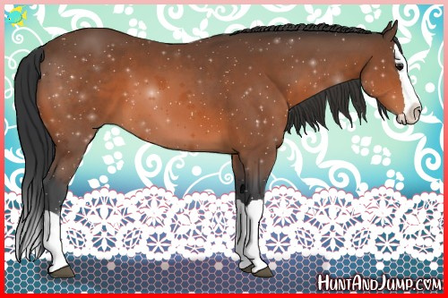 Horse Color:Bay Splash 