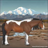 Horse Color:Bay Splash Tobiano 