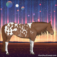 Horse Color:Chestnut Tobiano Blanket