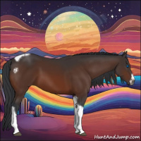 Horse Color:Brown Tobiano Frame 