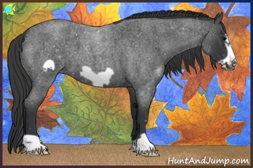 Horse Color:Blue Roan Frame 