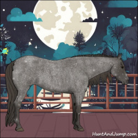 Horse Color:Smoky Blue Roan 