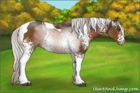 Horse Color:White Spotted Silver Brown Tobiano 