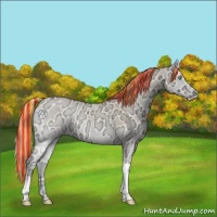 Horse Color:Painted Perlino Ice Onyx 
