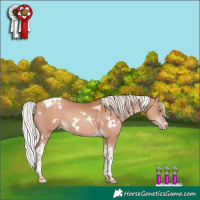 Horse Color:White Spotted Silver Sable Champagne Tobiano Rabicano 