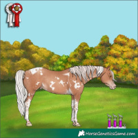Horse Color:White Spotted Silver Sable Champagne Tobiano Rabicano