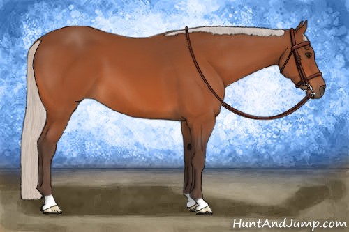 Horse Color:Silver Brown 