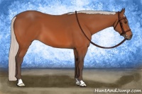 Horse Color:Silver Brown