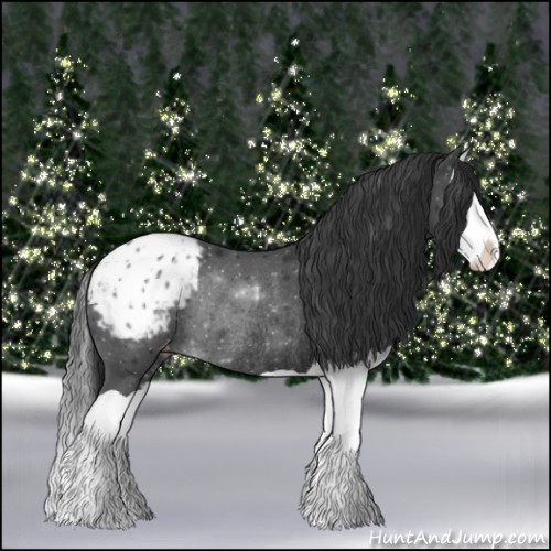 Horse Color:Black Splash Appaloosa Rabicano 