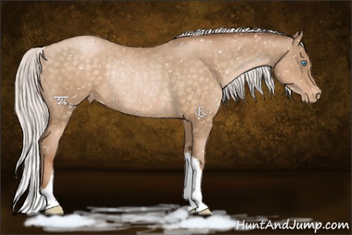Horse Color:Silver Buckskin Pearl Appaloosa Rabicano