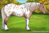 Horse Color:Silver Bay Roan Tobiano Blanket 