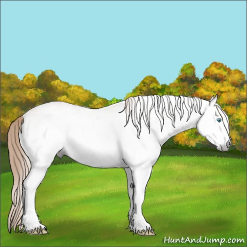 Horse Color:Gray White Spotted Perlino Appaloosa Rabicano