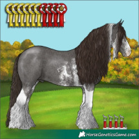 Horse Color:Liver Chestnut Sabino Tobiano 