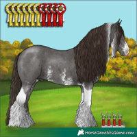 Horse Color:Liver Chestnut Sabino Tobiano 