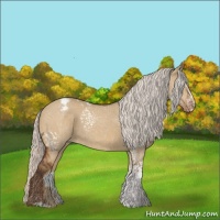 Horse Color:White Spotted Silver Buckskin Dun Sabino Varnish 