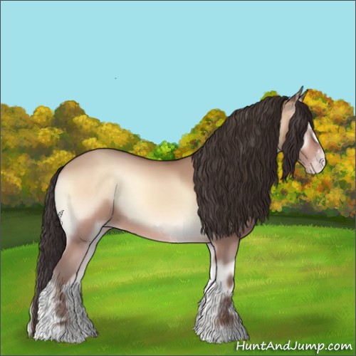 Horse Color:Amber Champagne Onyx Sabino