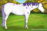 Horse Color:Platinum White Spotted Buckskin Splash Appaloosa 
