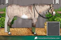 Horse Color:Silver Brown Roan Dun Frame Brindle 