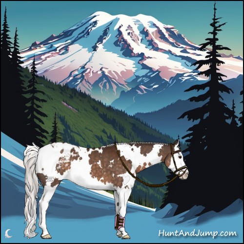Horse Color:White Spotted Silver Brown Sabino Splash Appaloosa 