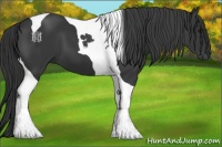 Horse Color:Black Tobiano
