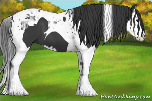 Horse Color:Black Splash Tobiano 