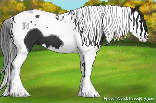 Horse Color:Black Splash Tobiano 