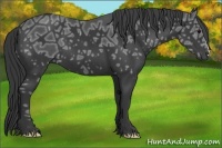 Horse Color:Black Ice 