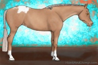 Horse Color:Silver Classic Champagne Appaloosa 
