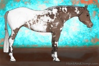 Horse Color:White Spotted Silver Brown Appaloosa 