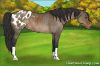 Horse Color:Brown Dun Blanket Brindle 