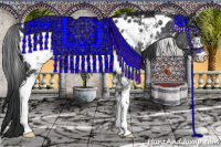 Horse Color:White Spotted Black Appaloosa 