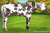 Horse Color:White Spotted Liver Chestnut 
