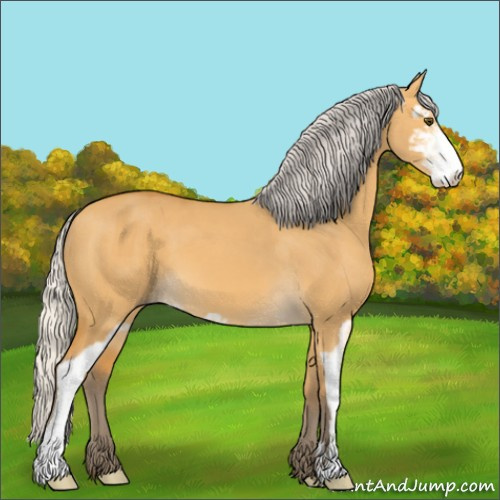 Horse Color:Silver Buckskin Dun Sabino