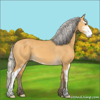 Horse Color:Silver Buckskin Dun Sabino