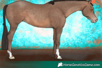 Horse Color:Sable Champagne 