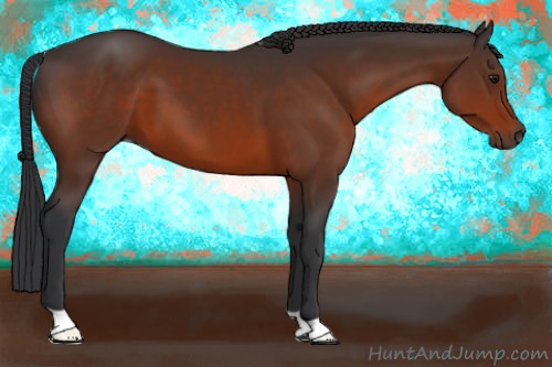 Horse Color:Brown 