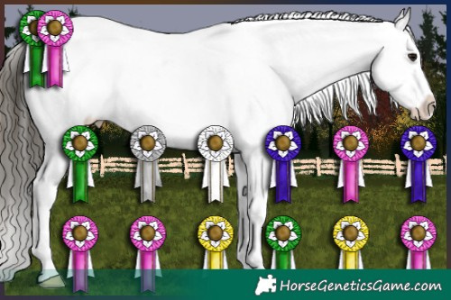 Horse Color:Buckskin Snowflake Varnish
