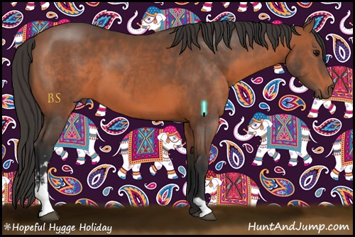 Horse Color:Bay Sabino 