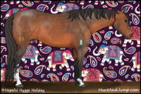 Horse Color:Bay Sabino