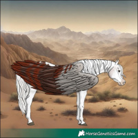 Horse Color:White Spotted Silver Brown Appaloosa