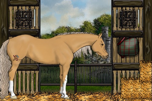 Horse Color:Palomino 