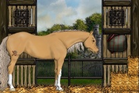 Horse Color:Palomino