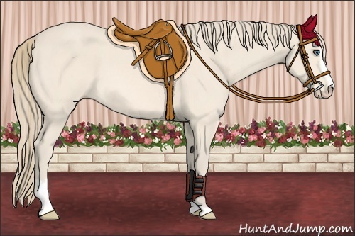 Horse Color:Perlino Sabino 