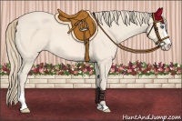 Horse Color:Perlino Sabino